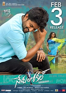 nenu local theatrical poster